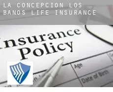 La Concepción de los Baños  life insurance