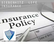 Siebenhitz  life insurance