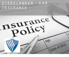 Ziegelanger  car insurance