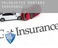 Valdesotos renters insurance