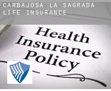 Carbajosa de la Sagrada  life insurance