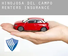 Hinojosa del Campo  renters insurance