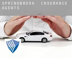 Springbrook  insurance agents