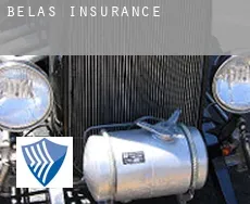 Belas  insurance