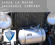 Zarza la Mayor  insurance company