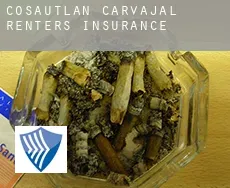 Cosautlán de Carvajal  renters insurance