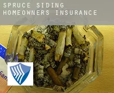 Spruce Siding  homeowners insurance