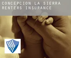 Concepción de la Sierra  renters insurance