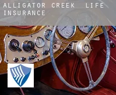 Alligator Creek  life insurance