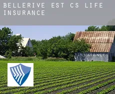 Bellerive Est (census area)  life insurance