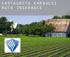 Castagneto Carducci  auto insurance