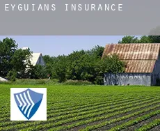 Eyguians  insurance