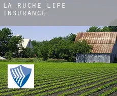 La Ruche  life insurance