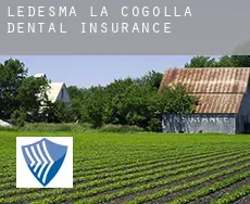 Ledesma de la Cogolla  dental insurance