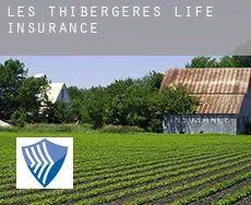 Les Thibergères  life insurance