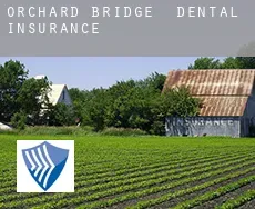 Orchard Bridge  dental insurance