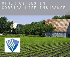 Other Cities in Corsica  life insurance