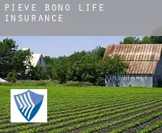 Pieve di Bono  life insurance