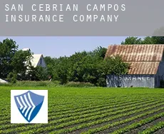 San Cebrián de Campos  insurance company