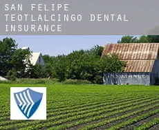 San Felipe Teotlalcingo  dental insurance