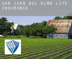 San Juan del Olmo  life insurance