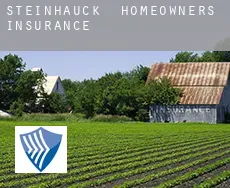 Steinhauck  homeowners insurance