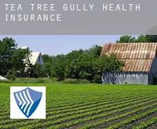 Tea Tree Gully  health insurance