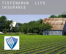 Tiefengrün  life insurance