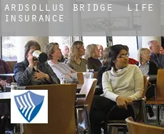 Ardsollus Bridge  life insurance