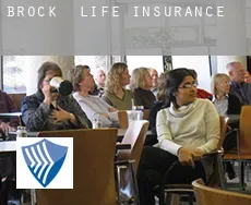 Brock  life insurance