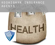 Koshigaya  insurance agents