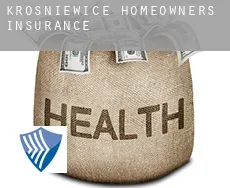 Krośniewice  homeowners insurance