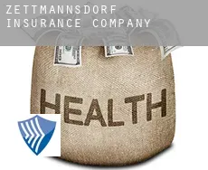 Zettmannsdorf  insurance company