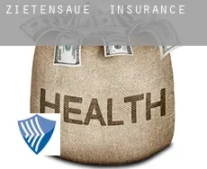 Zietensaue  insurance