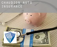 Chaudion auto insurance