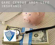 Gare (census area)  life insurance