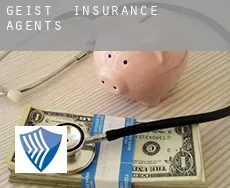 Geist  insurance agents