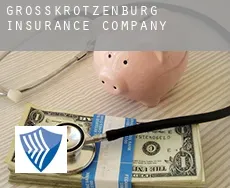 Großkrotzenburg  insurance company