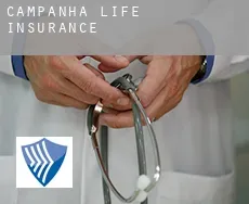 Campanha  life insurance