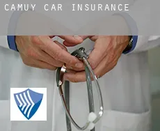 Camuy  car insurance