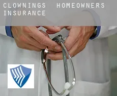 Clownings  homeowners insurance