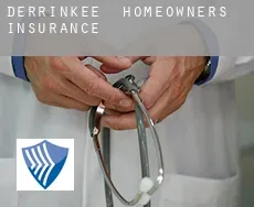 Derrinkee  homeowners insurance