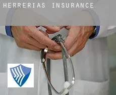 Herrerías insurance