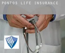 Pontós  life insurance