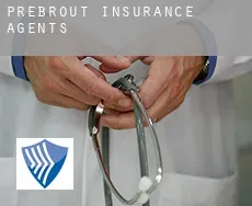 Prebrout  insurance agents