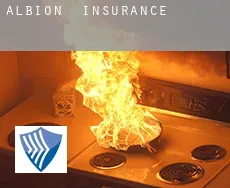 Albion  insurance