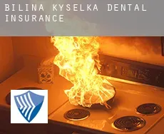 Bílina Kyselka  dental insurance