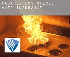 Pajares de los Oteros  auto insurance