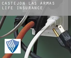 Castejón de las Armas  life insurance