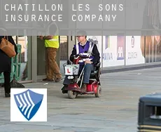 Châtillon-lès-Sons  insurance company